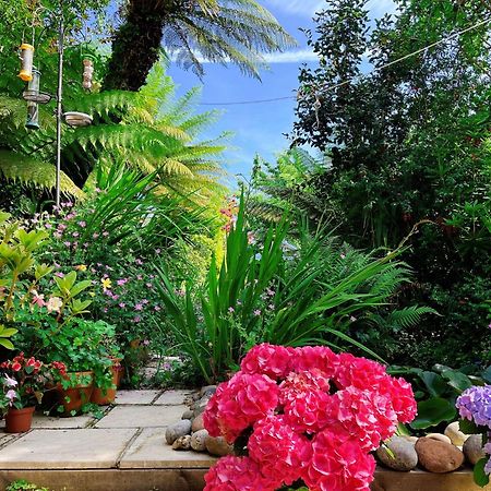 Funky Urban Jungle Bed & Breakfast คาร์ดิฟฟ์ ภายนอก รูปภาพ