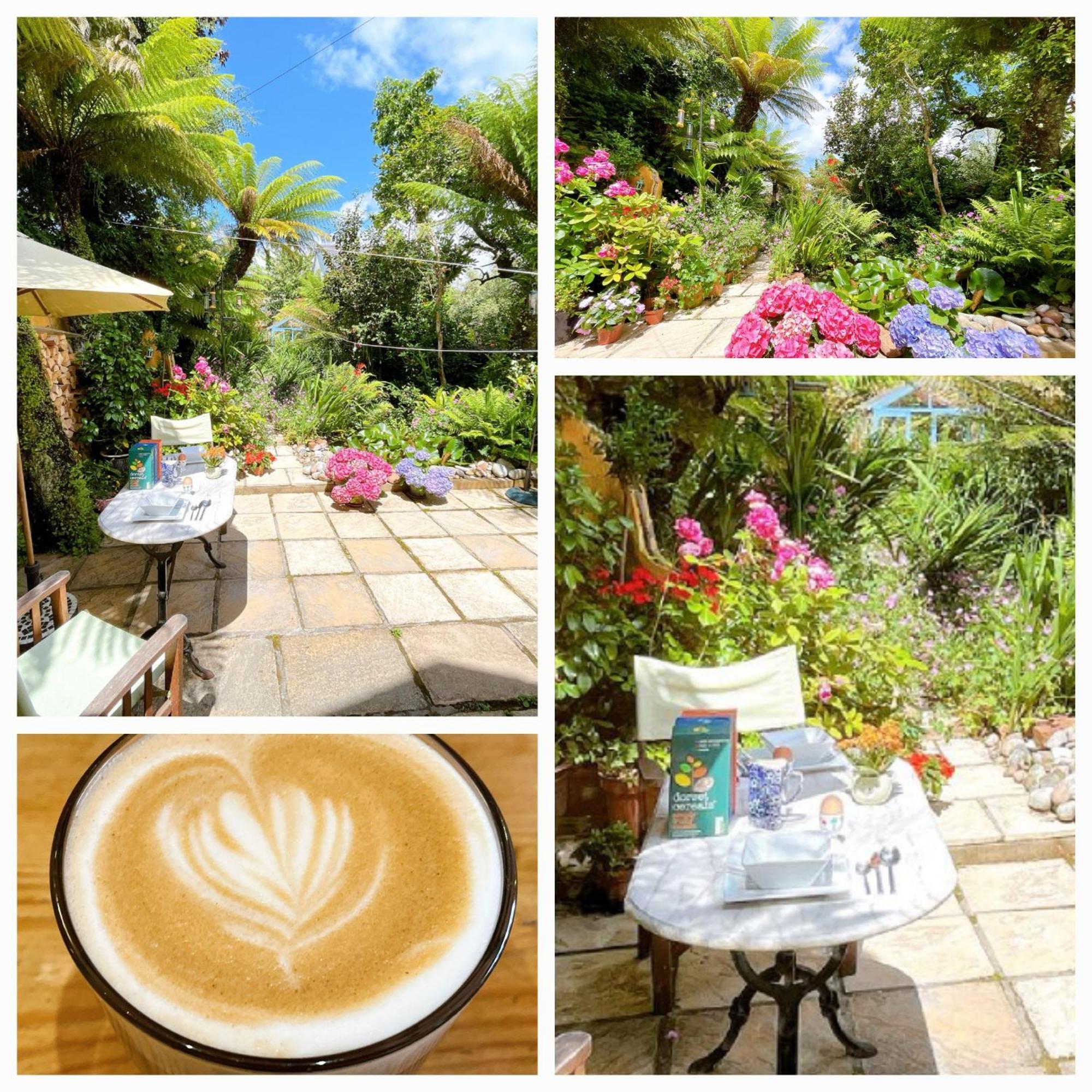Funky Urban Jungle Bed & Breakfast คาร์ดิฟฟ์ ภายนอก รูปภาพ
