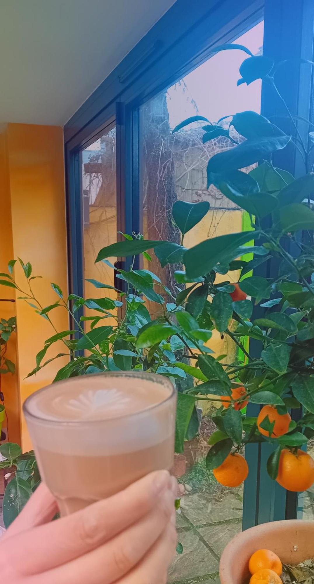 Funky Urban Jungle Bed & Breakfast คาร์ดิฟฟ์ ภายนอก รูปภาพ
